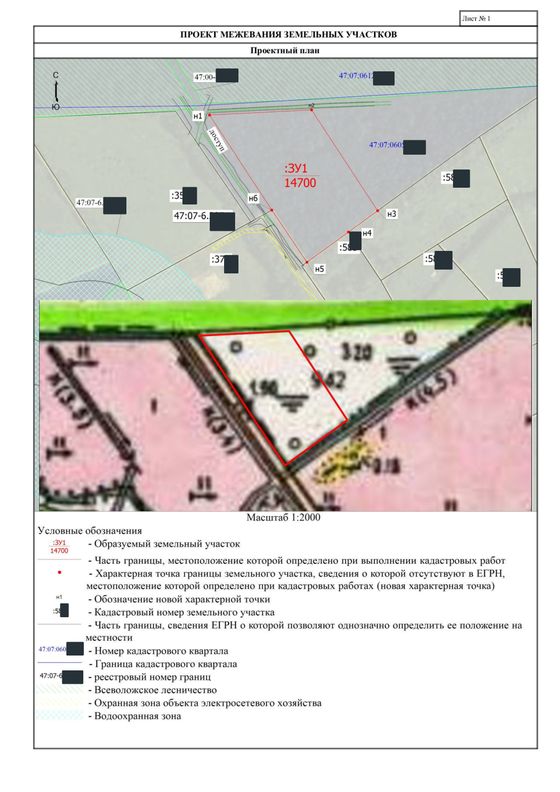 Проектный план образуемого участка при выделе земельной доли